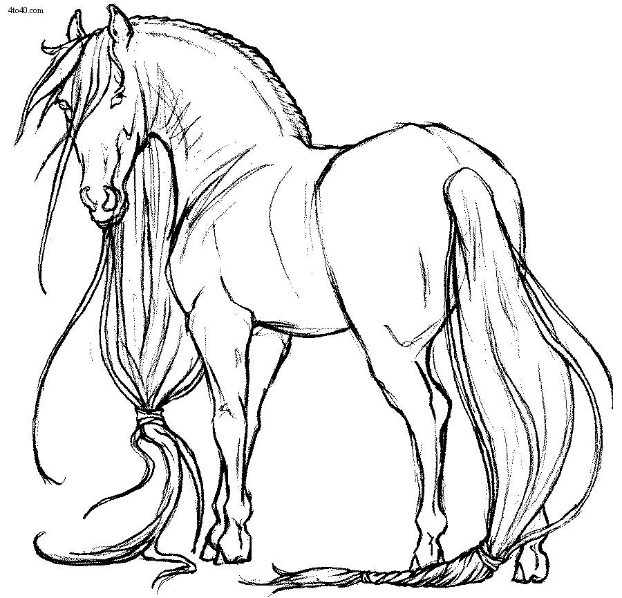 Лошади черно белое изображение: иллюстрации