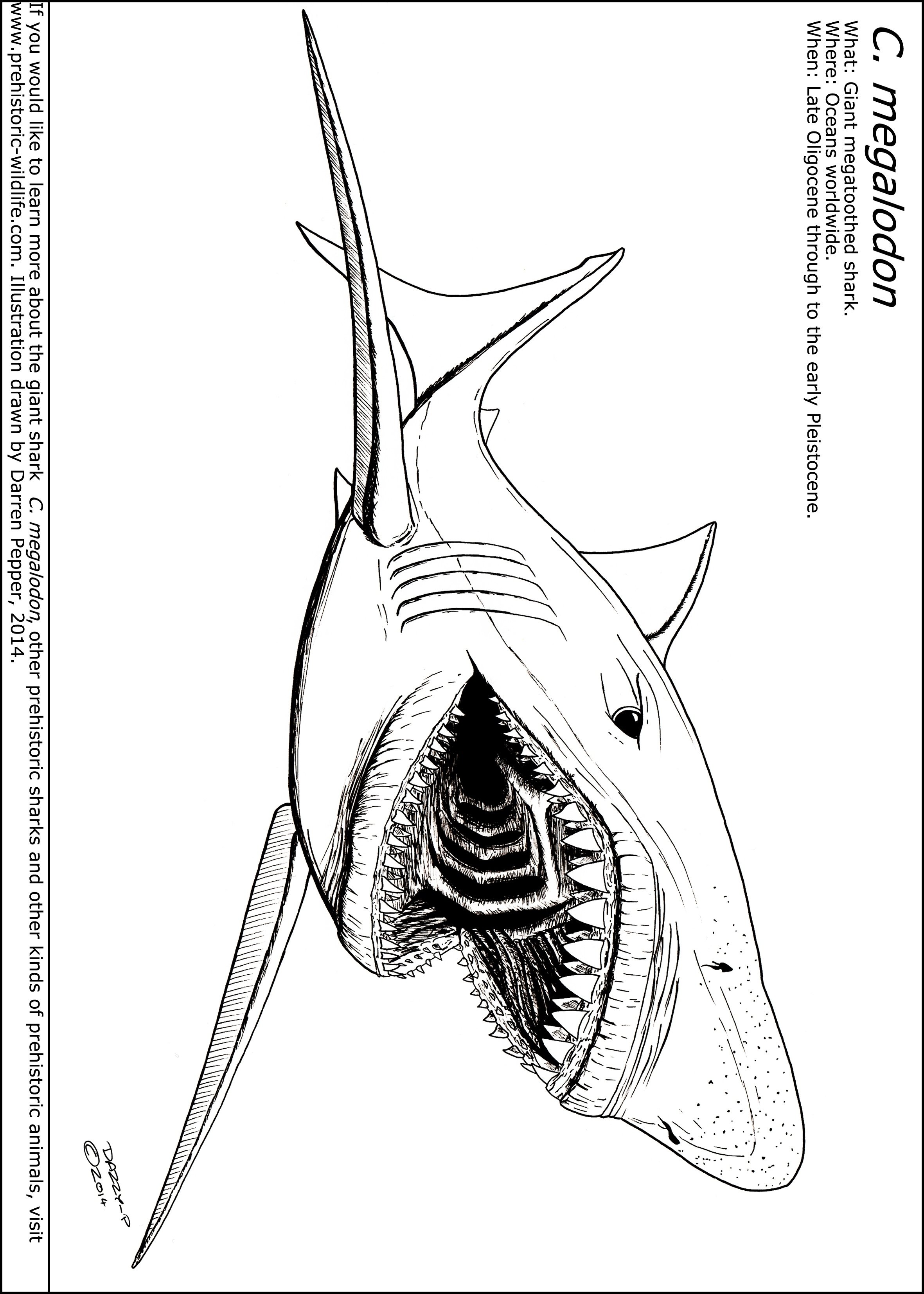 Раскраска акула мегалодон - 66 фото