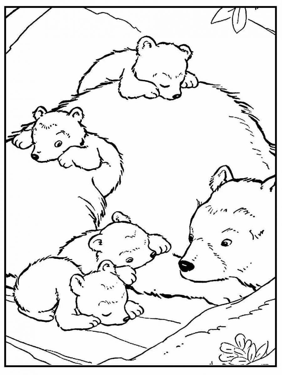 Раскраска Мама медведица и медвежата