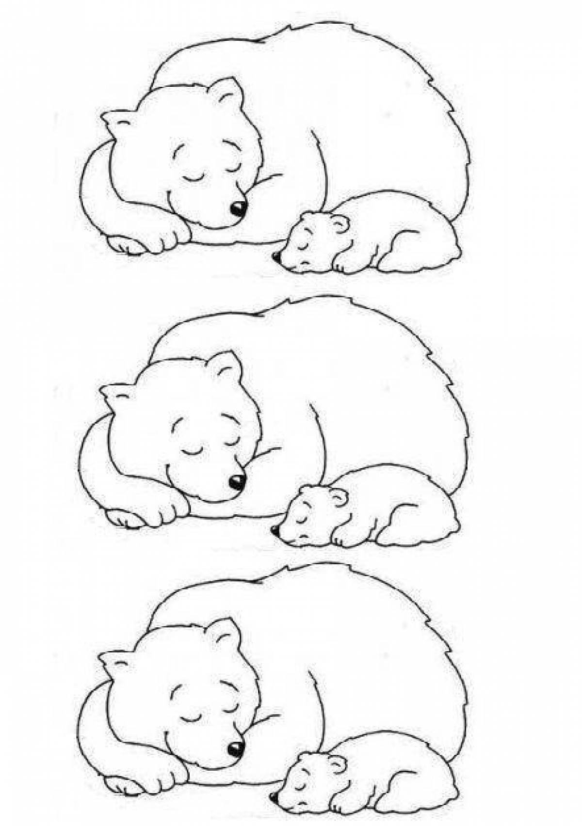 Раскраска «Медведь в спячке»