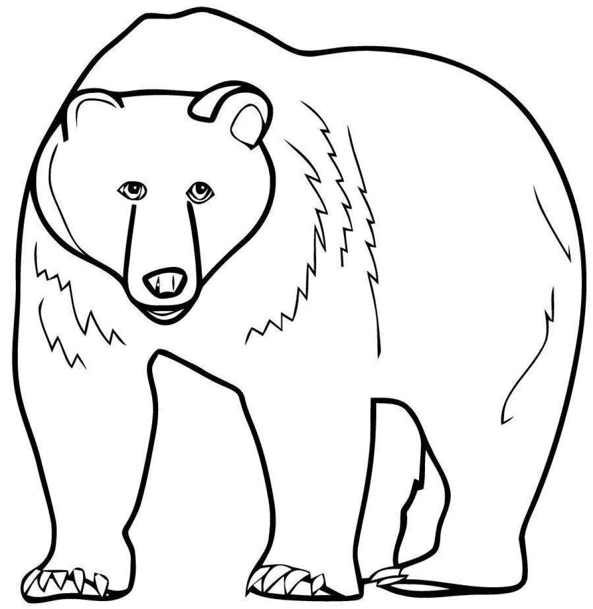 Раскраска Медведь для малышей