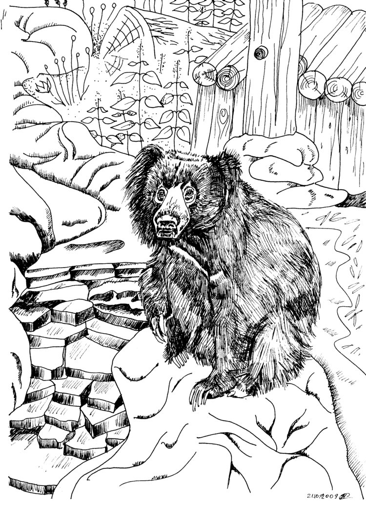 Паустовский раскраска. Дремучий медведь Паустовский. Паустовский дремучий медведь раскраска. Медведь губач раскраска. Дремучий медведь.