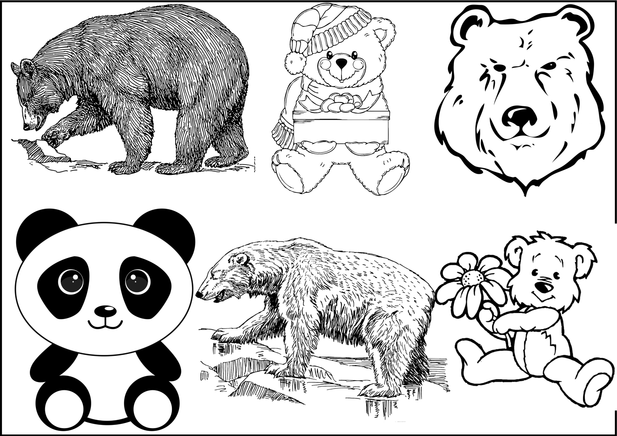 Медведи раскраска игра. Медведь раскраска. Медведь раскраска для детей. Медвежонок раскраска для детей. Раскраска "мишки".