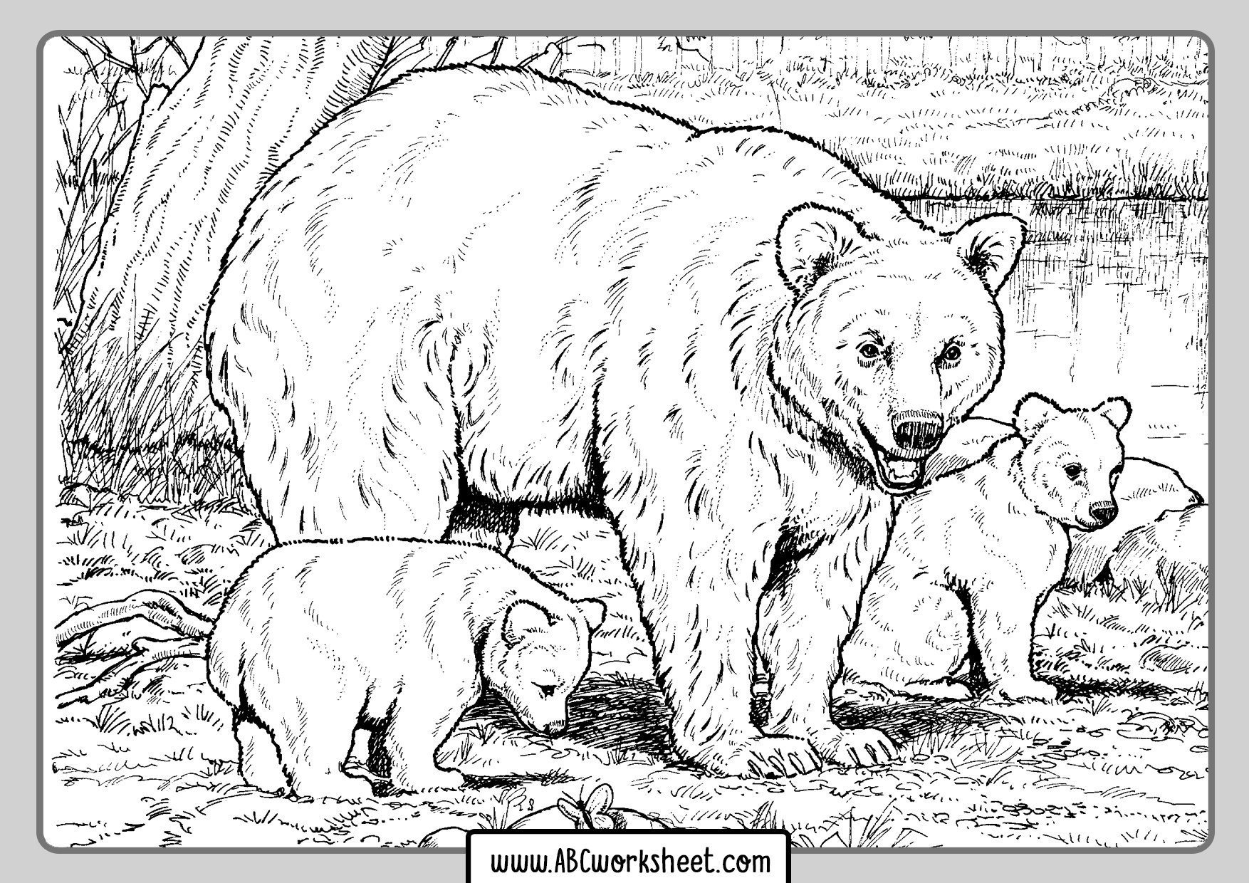Медведица с двумя медвежатами — раскраска