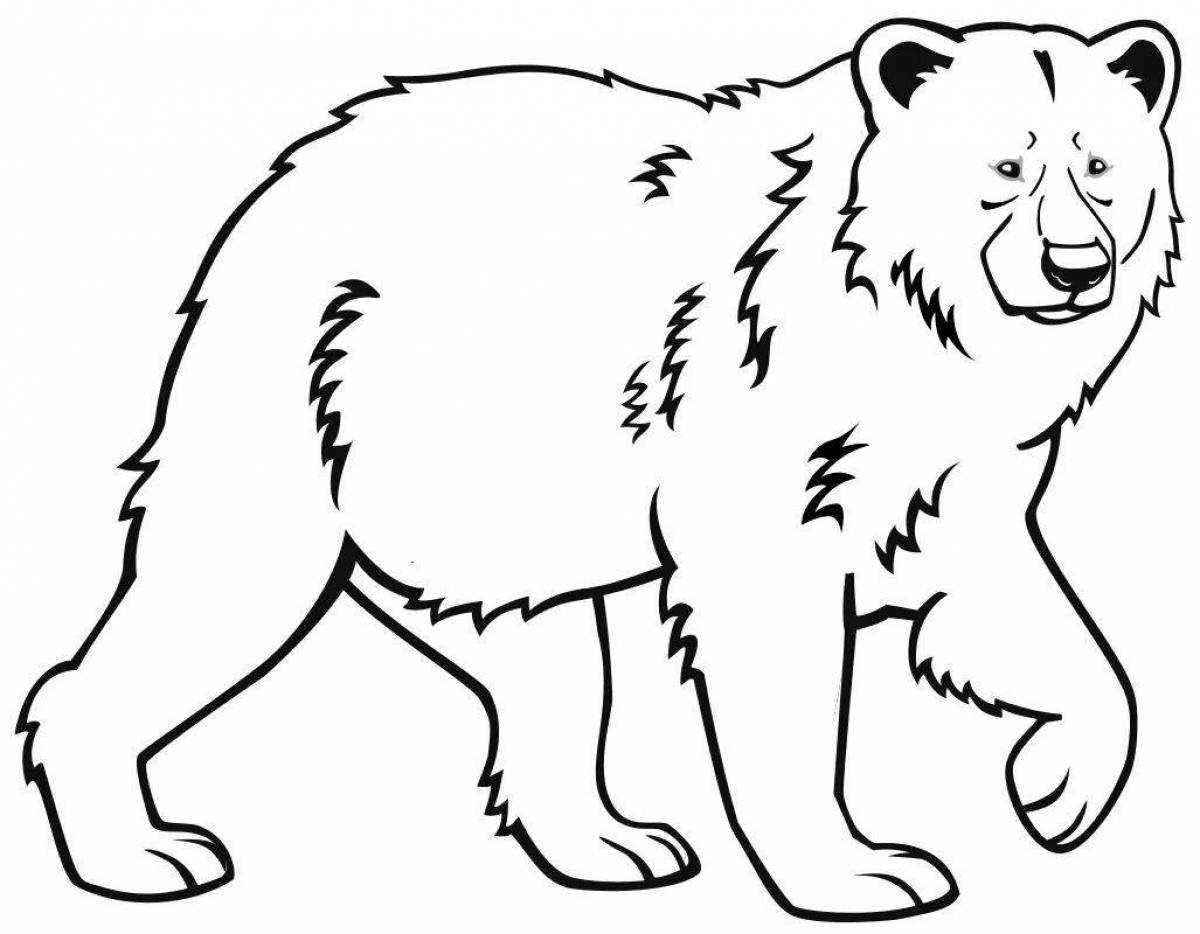 Распечатка медведя. Медведь раскраска. Медведь раскраска для детей. Раскраска "Дикие животные". Бурый медведь раскраска.