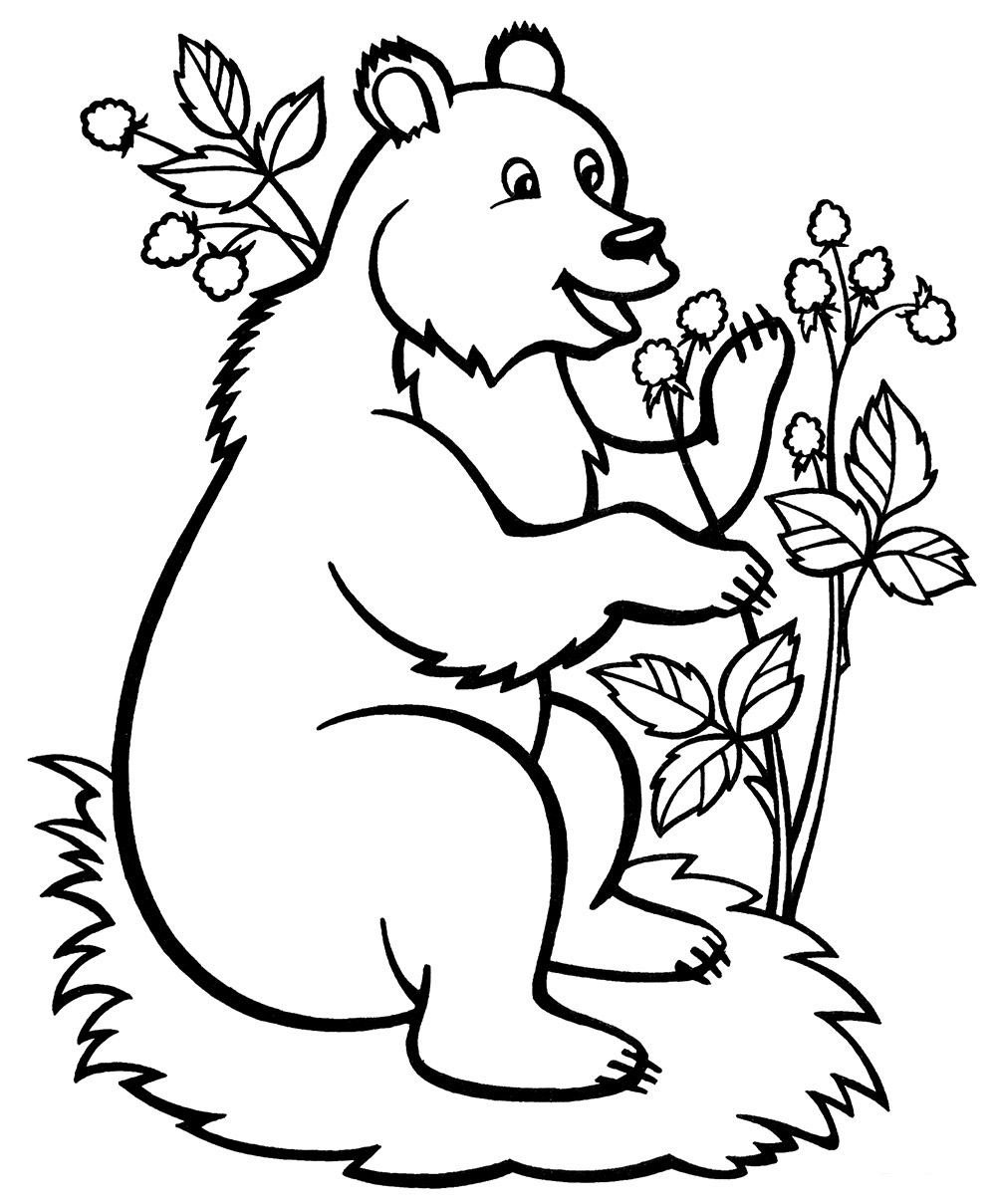Медведь раскраска для малышей