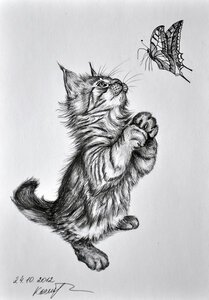 Котенок в графике