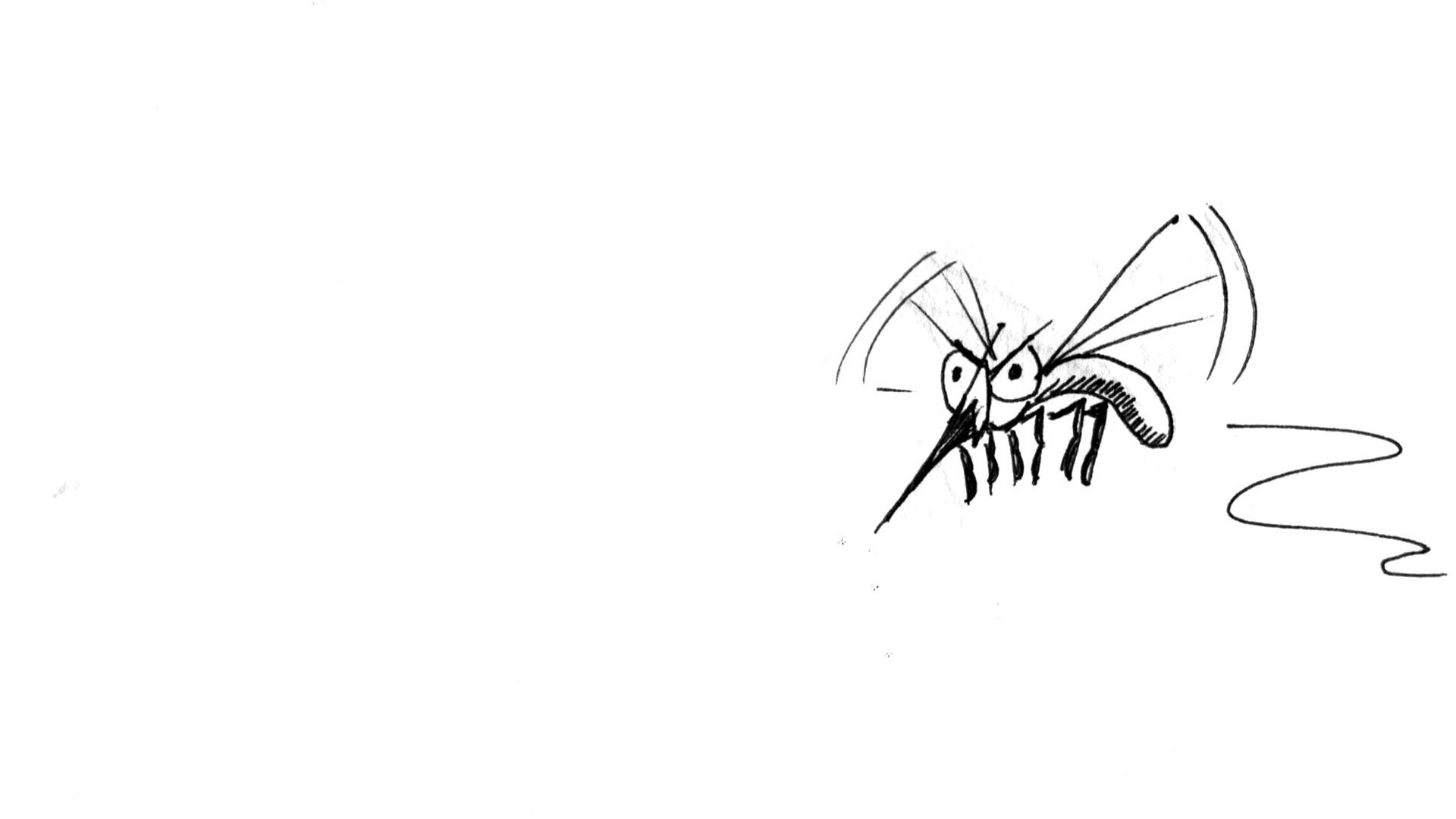 Раскраски комар (Животные) – Бесплатные раскраски для печати
