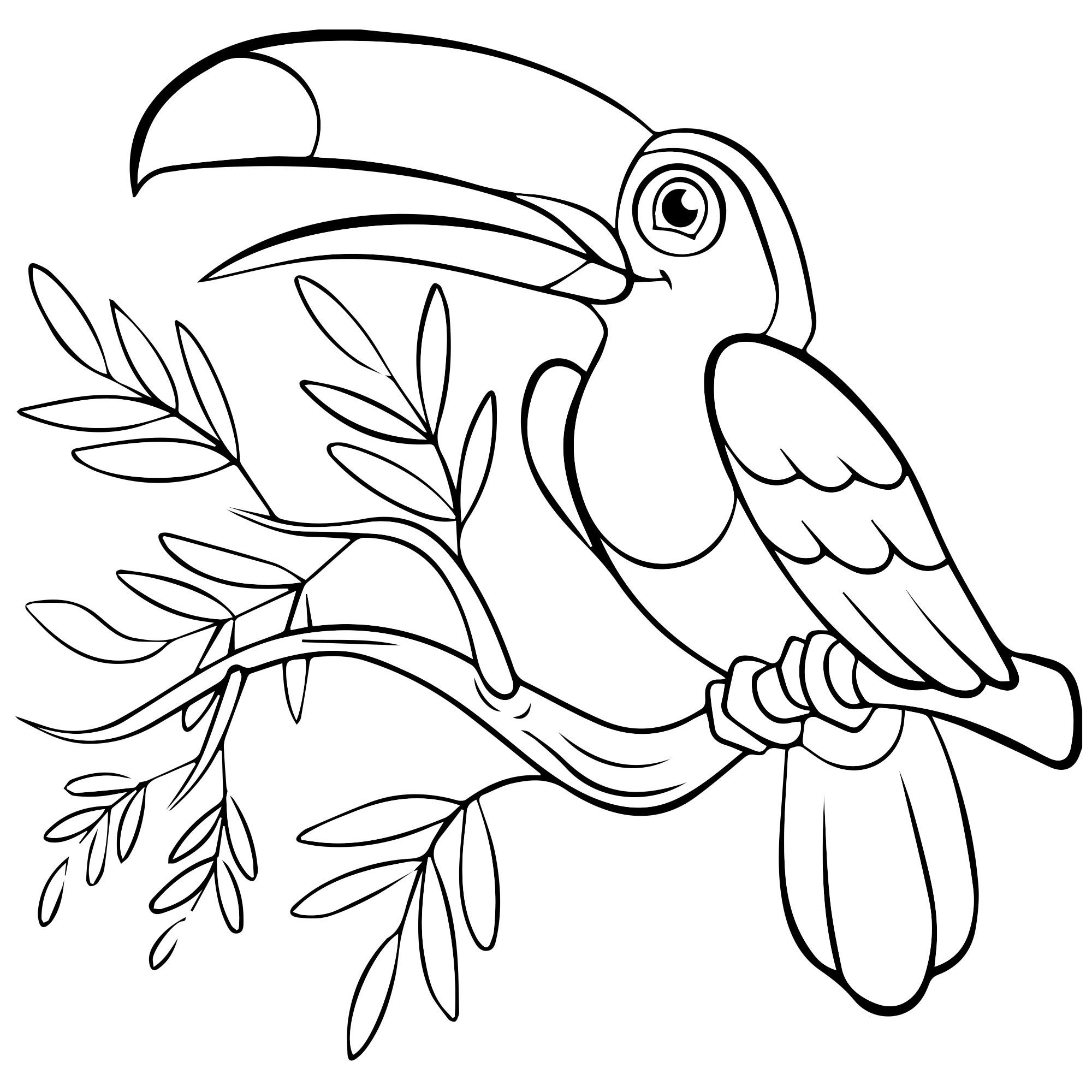 Раскраски птиц — распечатать или скачать бесплатно