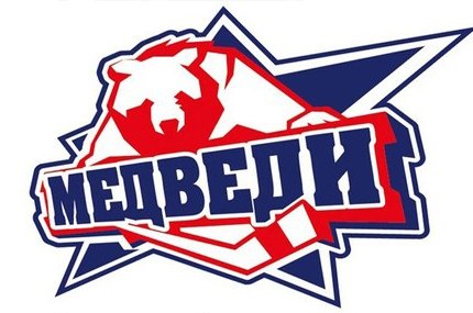 Медведи Молодежка эмблема