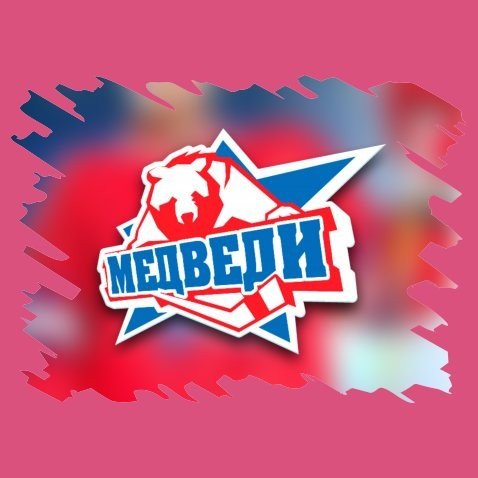 Хк медведи Молодежка