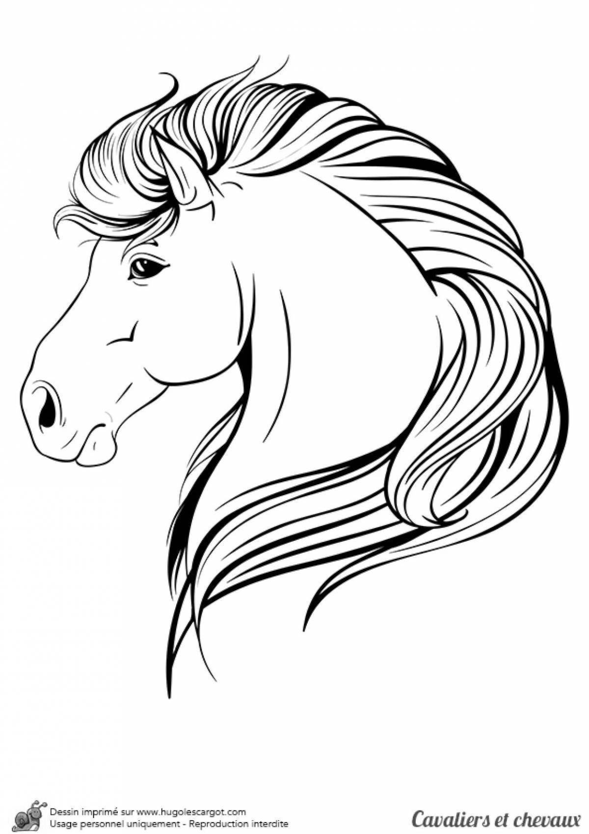 Раскраска Голова лошади