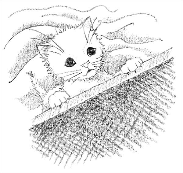 Холли Вебб котенок Усатик