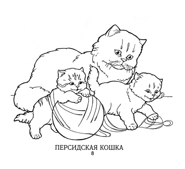 Раскраски мамой, Раскраска Котенок с мамой Домашние животные.