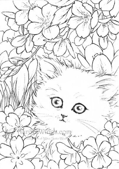 Раскраски котик в цветах (46 фото)