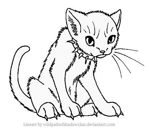 Раскраска кот Бич