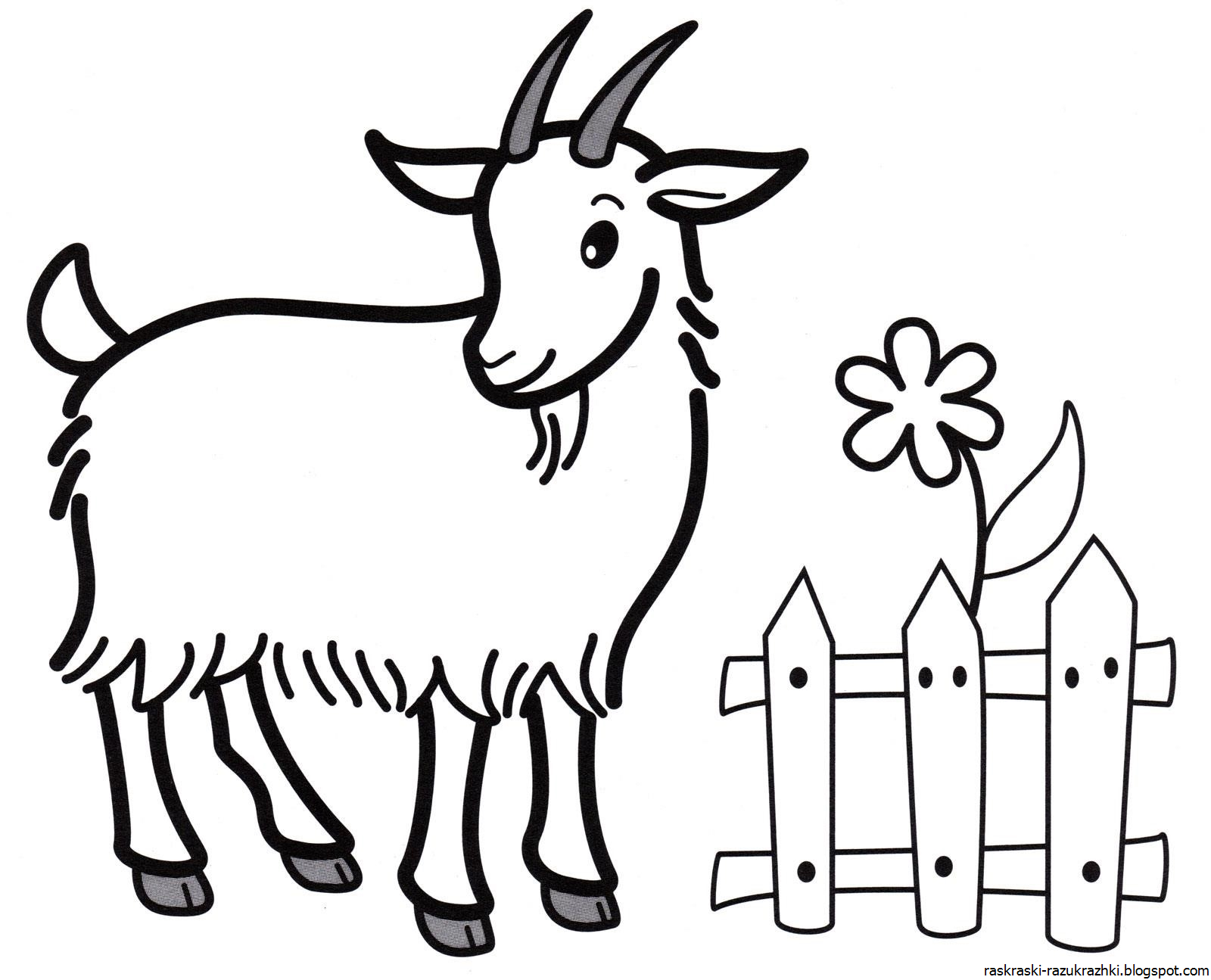 Раскраска Коза | Раскраски овечек и козочек. Раскраски овец и коз
