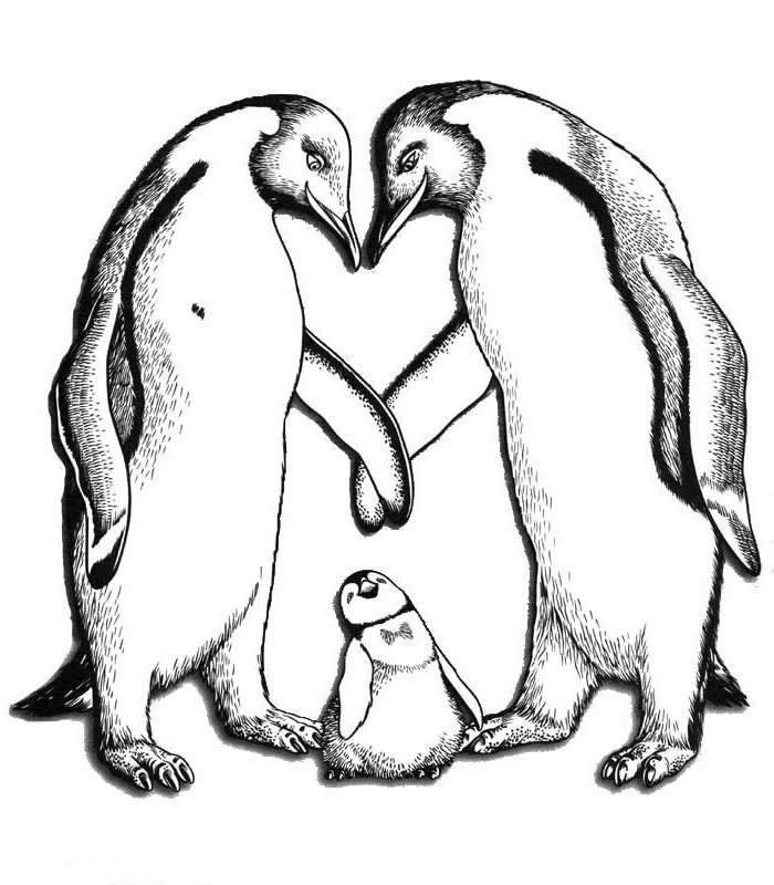 Раскраска Красивый пингвин