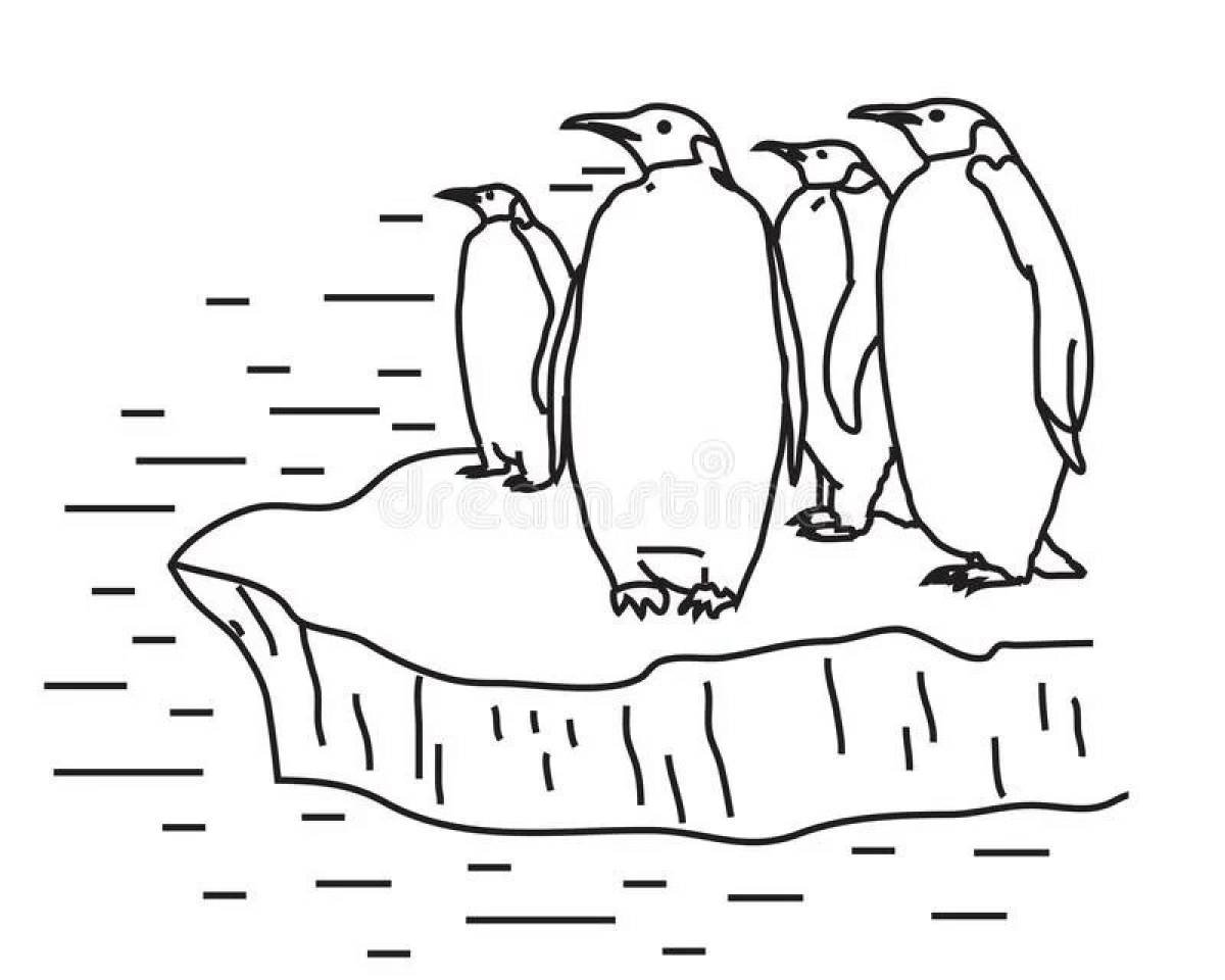 Пингвины раскраска для детей - 71 фото