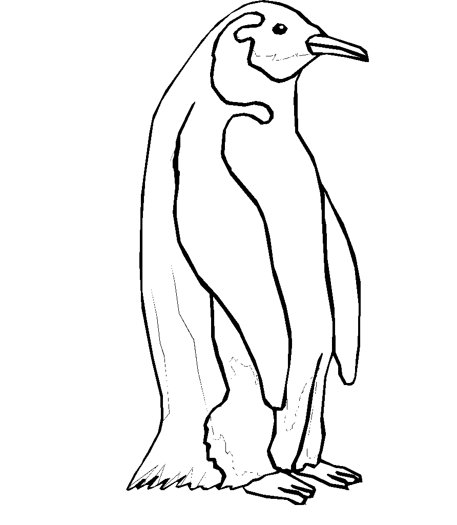 Раскраска Пингвины Мадагаскара | WONDER DAY — Раскраски для детей и взрослых