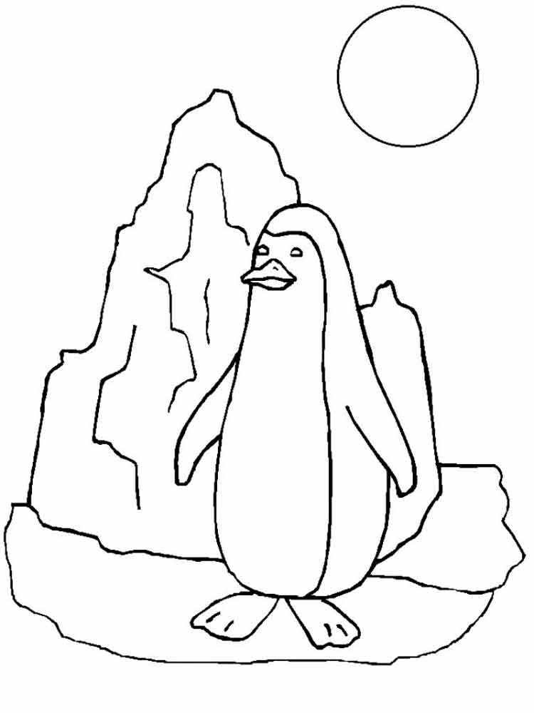 Раскраски Пингвины - Картинки-раскраски для детей и взрослых