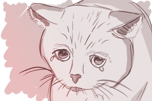 Грустный кот нарисованный