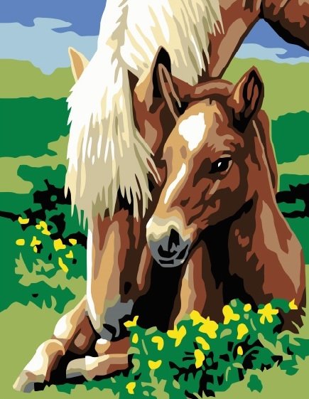 Рисование по номерам лошади