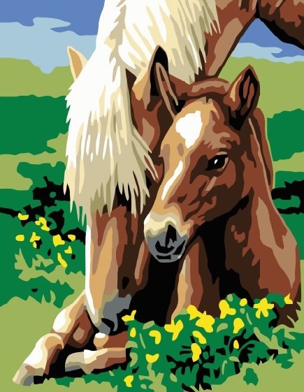 Раскраски по номерам лошадь и жеребенок (44 фото)