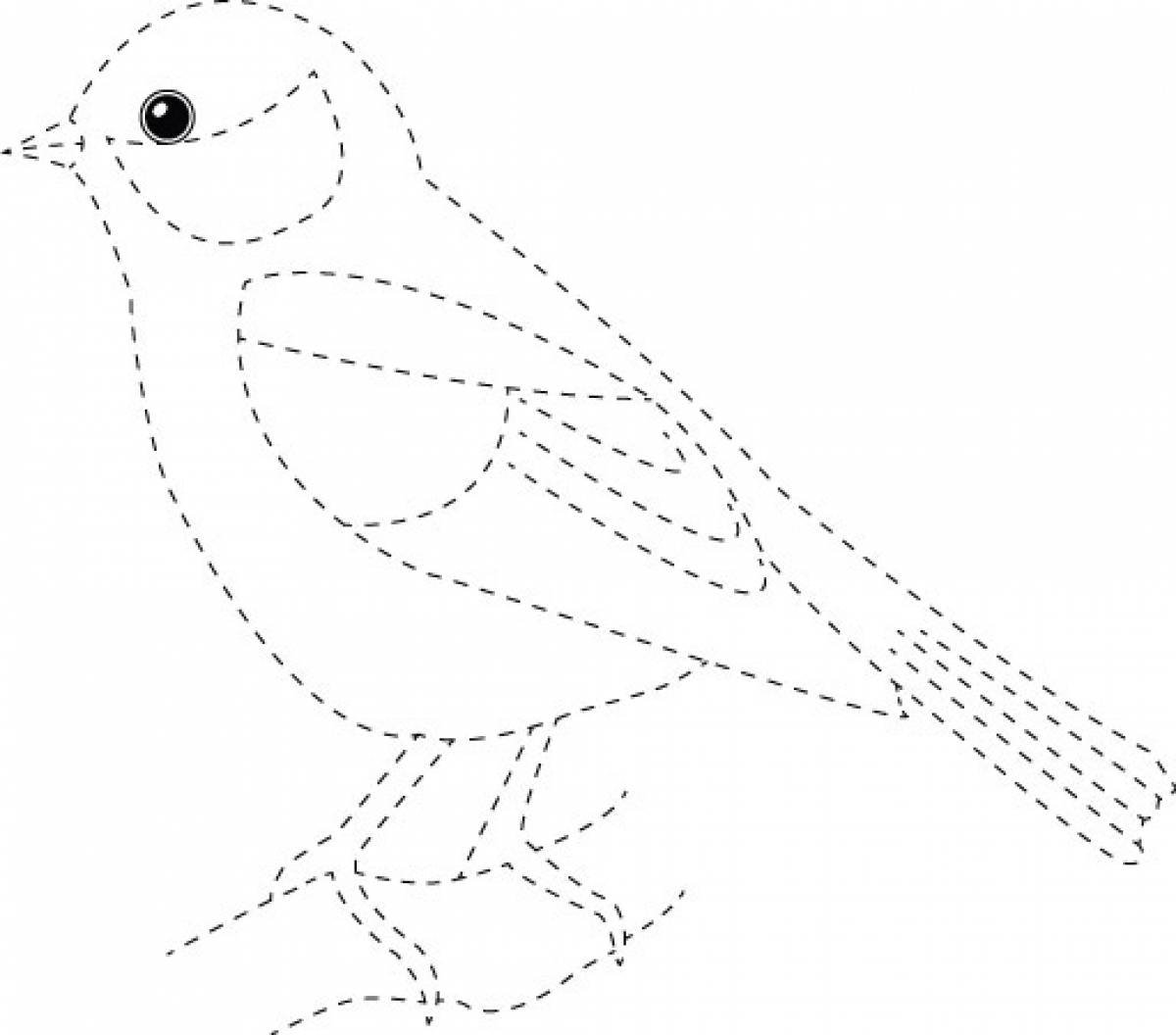 Раскраски птицы для детей - картинки птиц с названиями
