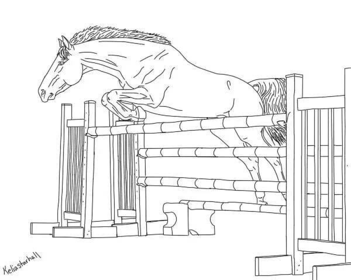 Раскраски прыгающая лошадь (45 фото) » Картинки, раскраски и трафареты для  всех - Klev.CLUB