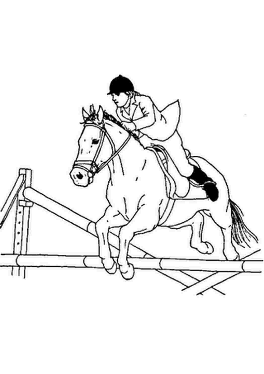 Раскраски прыгающая лошадь (45 фото) » Картинки, раскраски и трафареты для  всех - Klev.CLUB