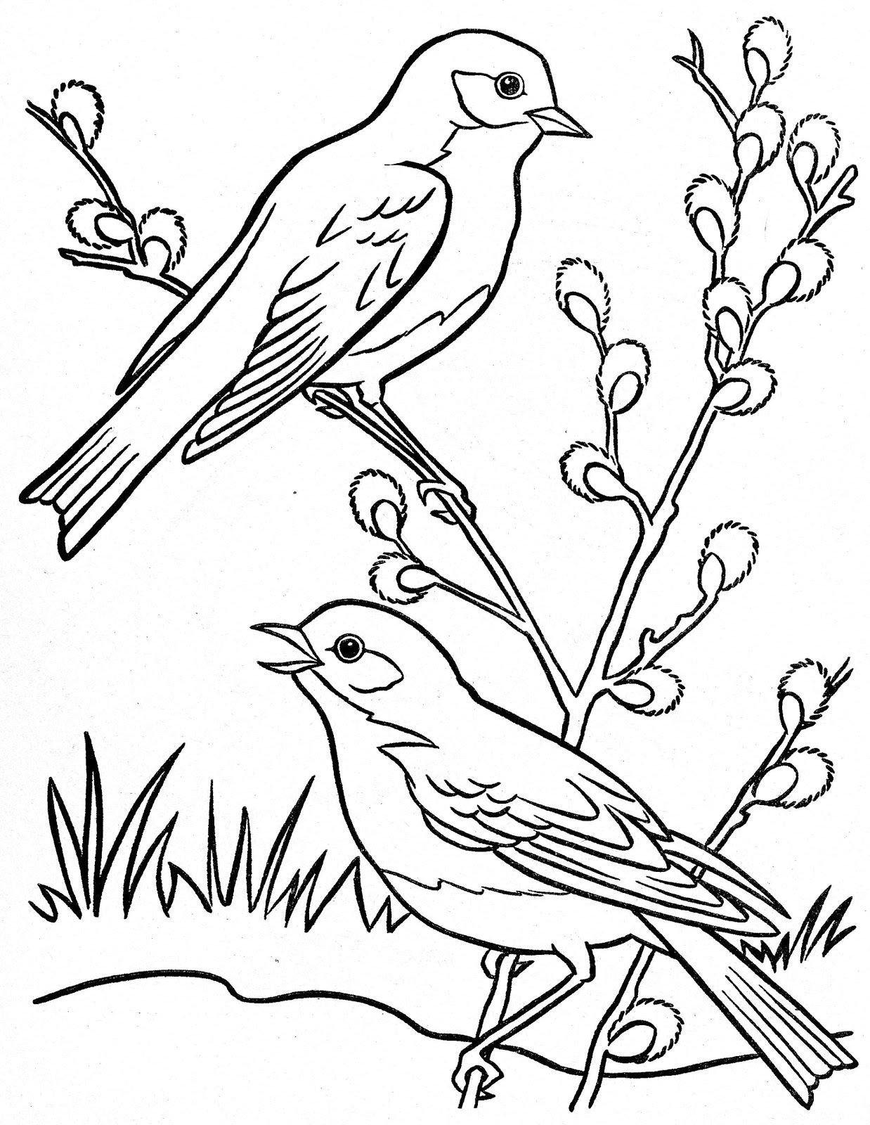 Весенние птицы рисунки - 83 фото
