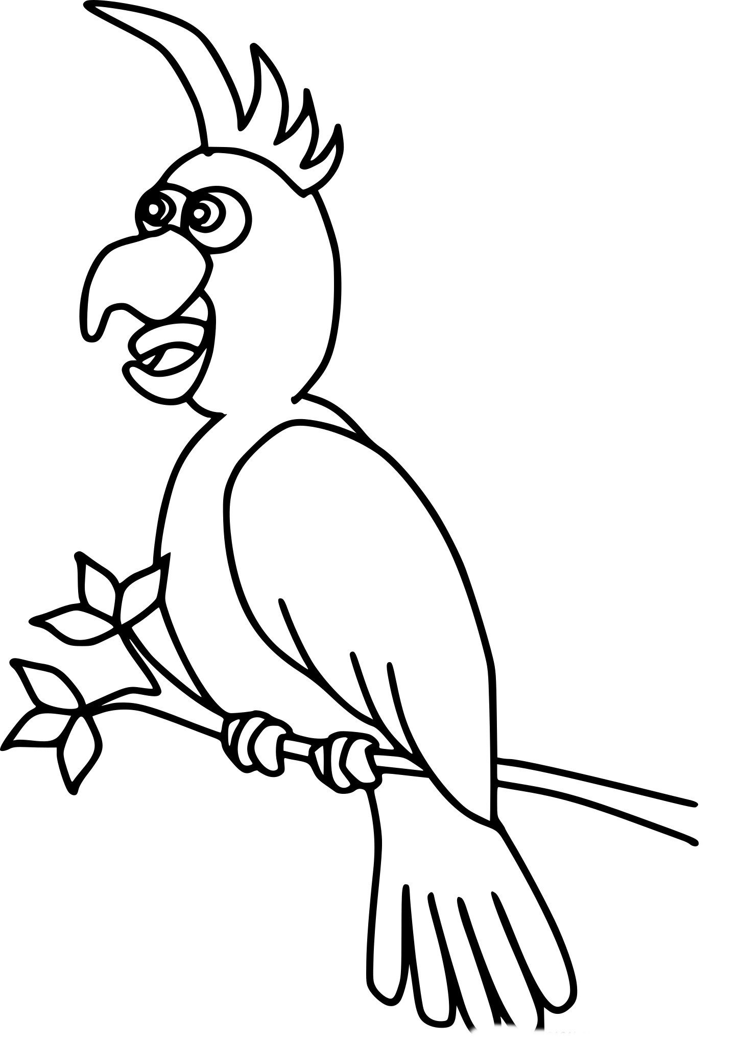 Корелла попугай рисунок