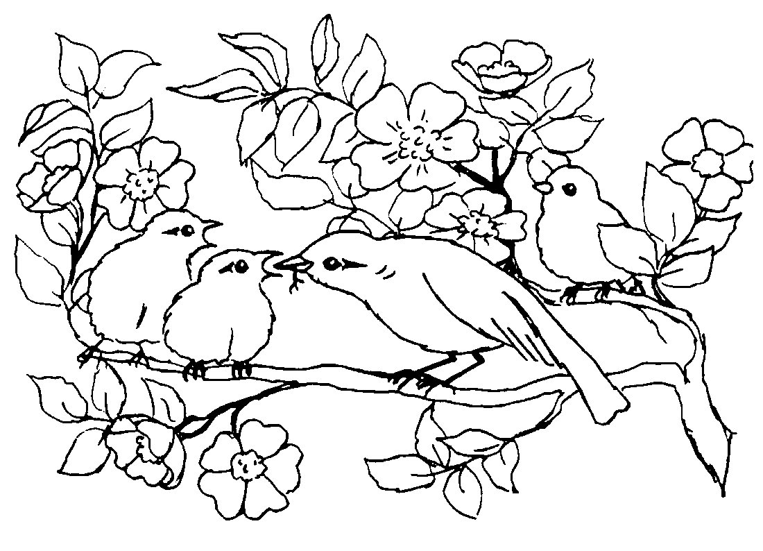 раскраска Окраска Весенняя сцена с двух небольших птиц и двух цветов