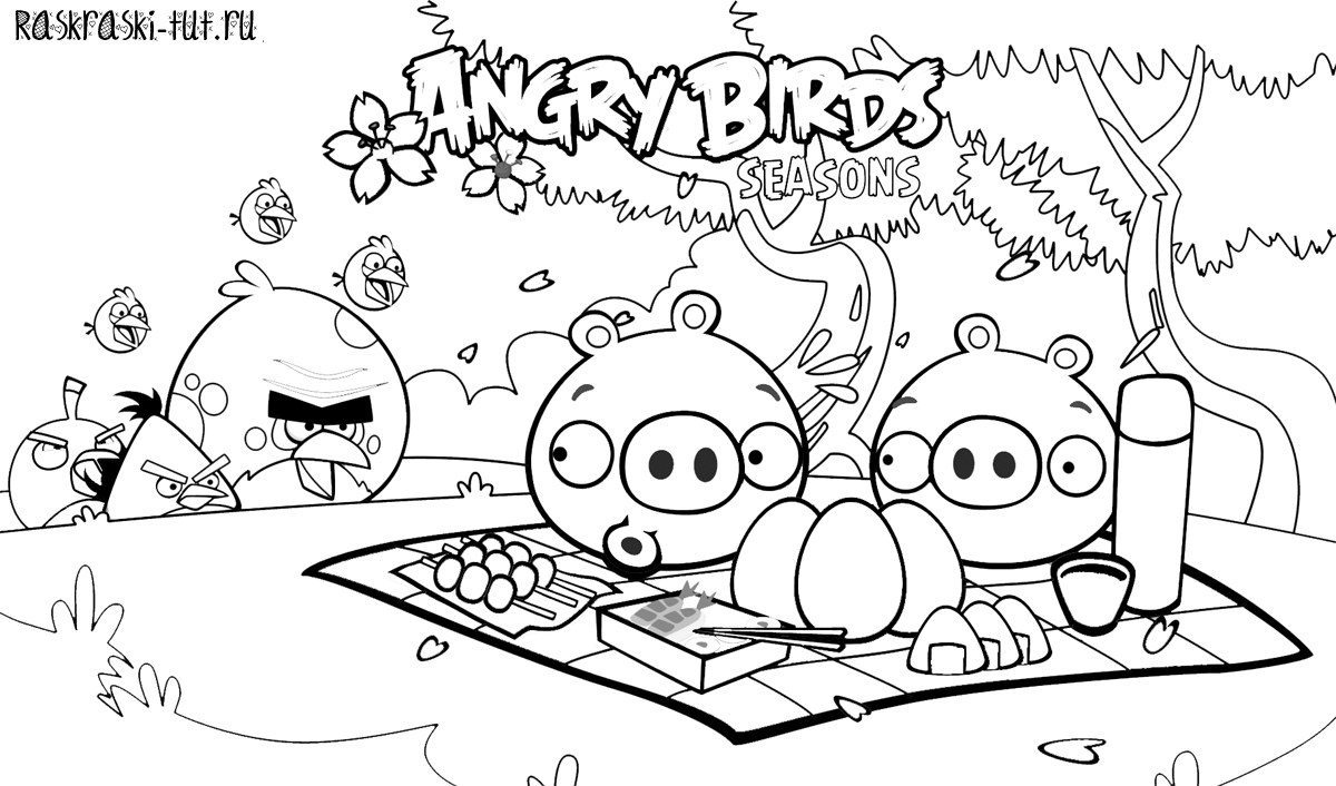 Раскраски Энгри бердз (Angry Birds)