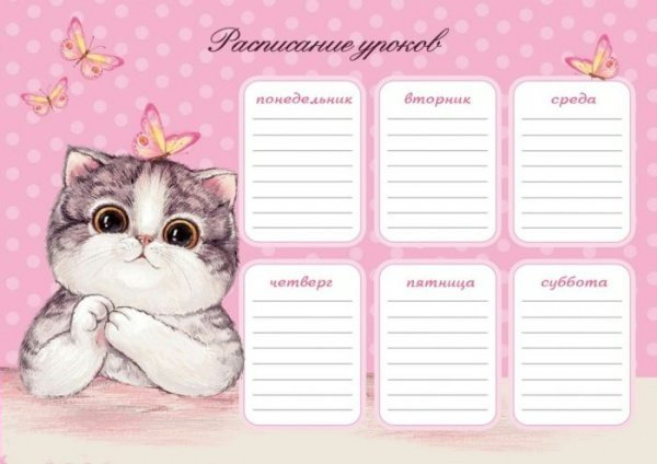 Расписание уроков с котятами