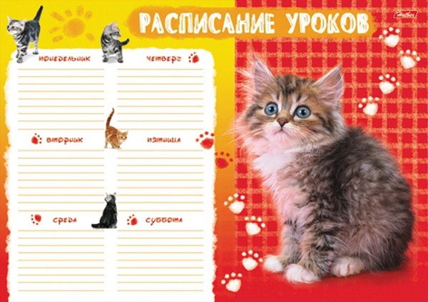 Расписание уроков для девочек