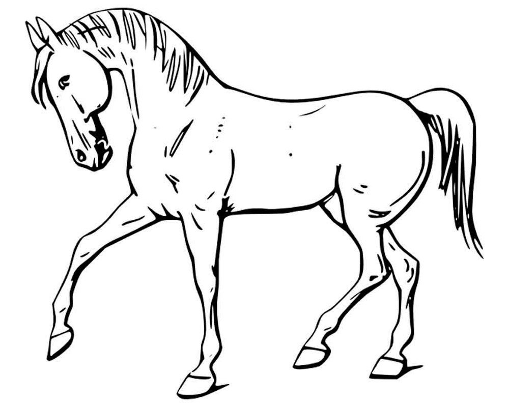 Красивая лошадь антистресс - Раскраски Лошади для взрослых онлайн