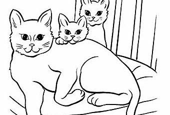 Сиамский кот раскраска