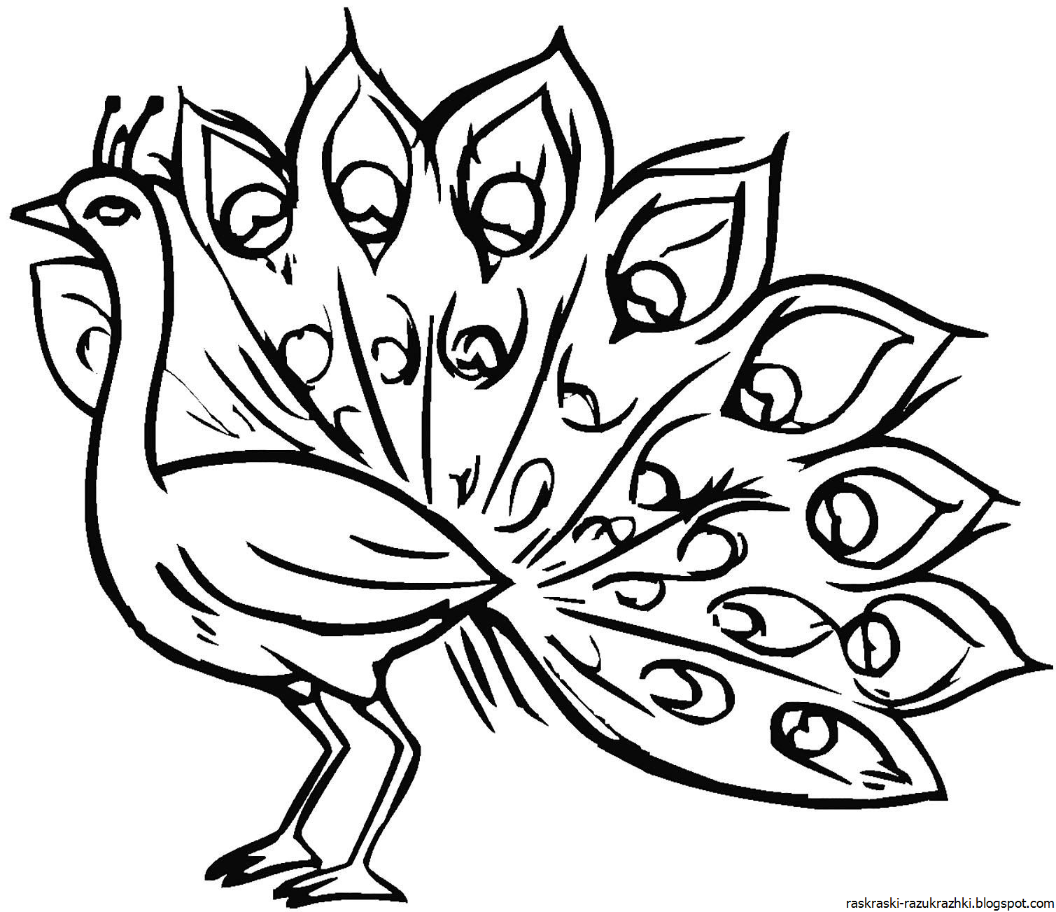 Идеи на тему «Сказочная птица» (61) | рисунки, искусство птицы, детские рисунки