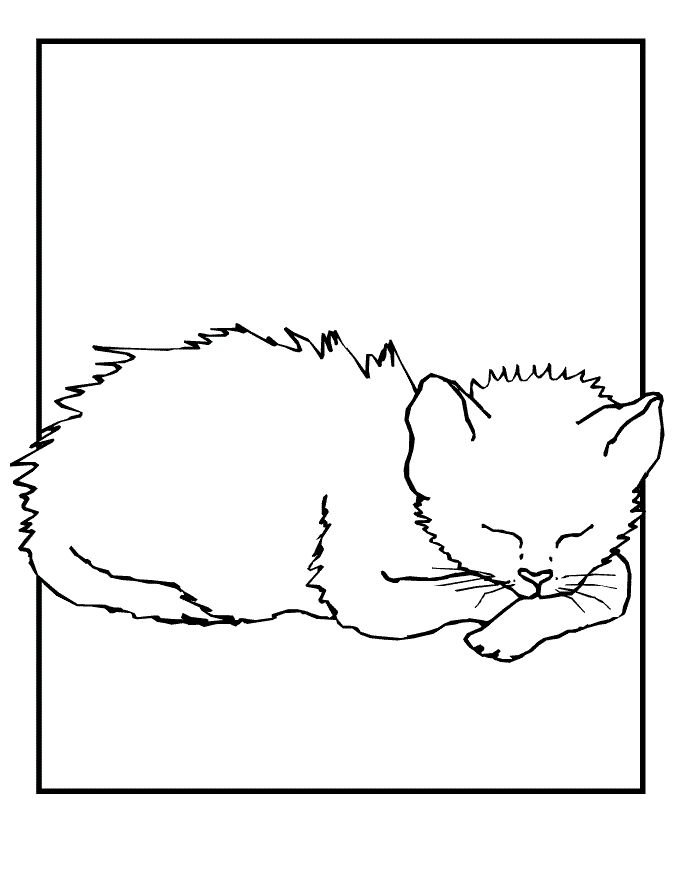 Cat nap раскраска. Спящий кот раскраска. Раскраска спящий котенок.
