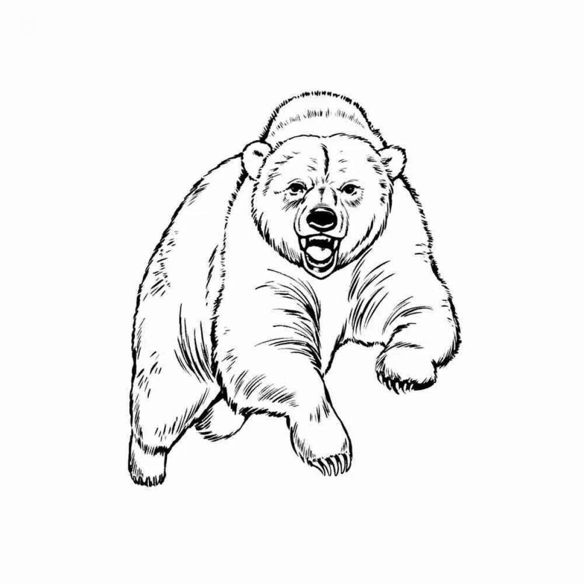 Медведь раскраска. Медведь рисунок карандашом. Медведь картинка для детей раскраска. Белый медведь раскраска для детей. Медведи раскраска игра