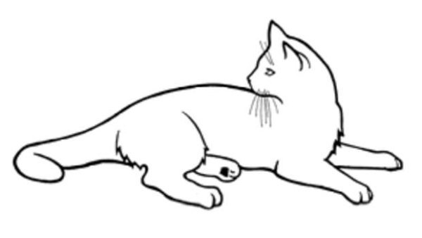 Рисование лежачего кота