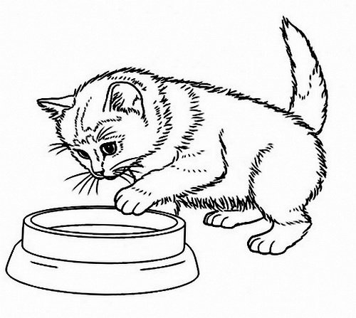 Кошка пьет молоко раскраска