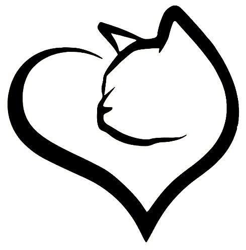 Кот с сердцем
