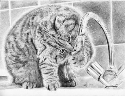 Кошка умывается карандашом