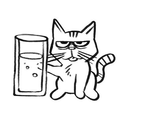 Рисунки котиков в стакане