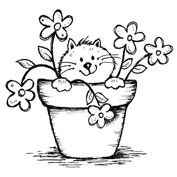 Раскраска. Котики