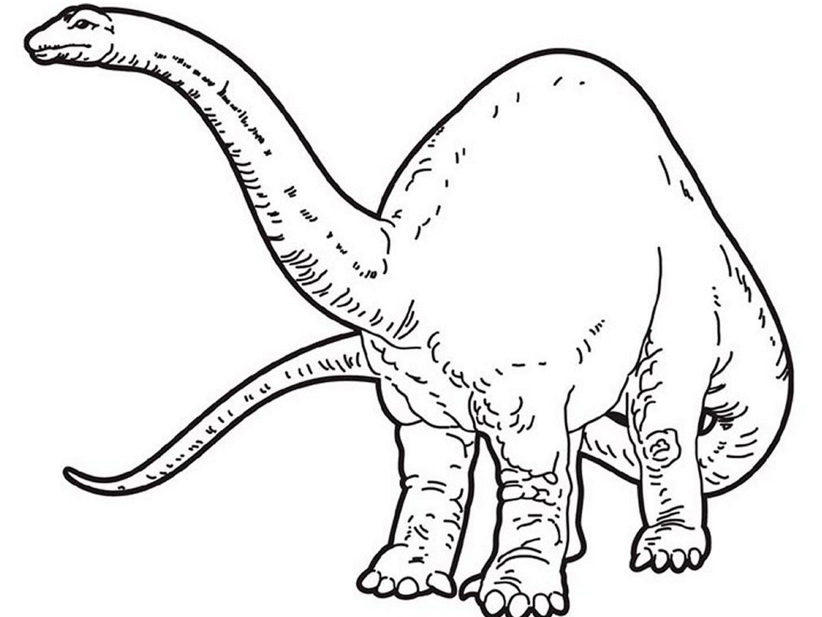 Динозавры для раскрашивания. Раскраска динозавр Диплодок. Раскраска динозавр Брахиозавр. Динозавр брон раскраска. Картинка динозавра для детей раскраска.