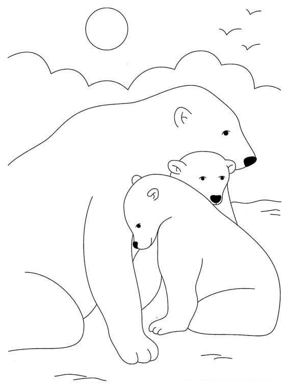 Белый медведь — раскраска для детей. Распечатать бесплатно.